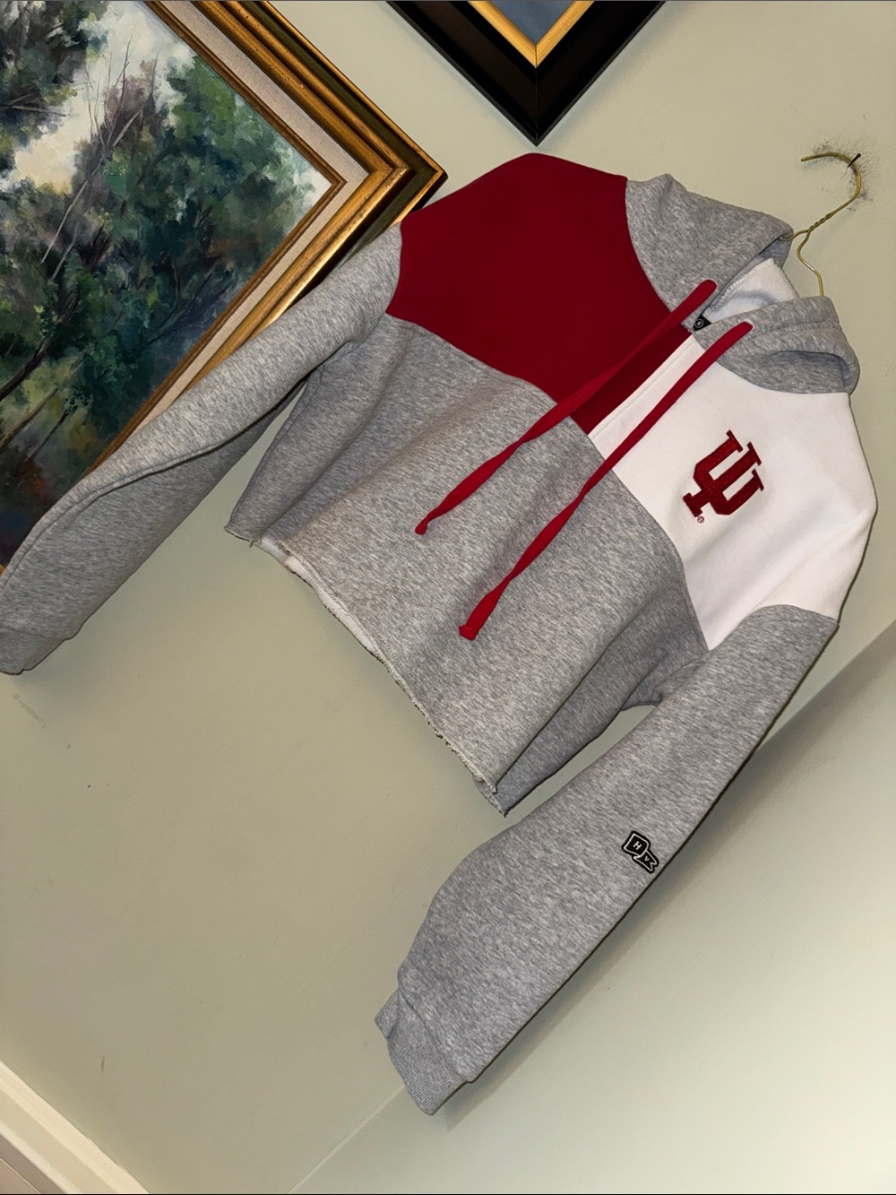 Indiana University Cropped Small Hoodie Gray Crimson Hoosiers Football S